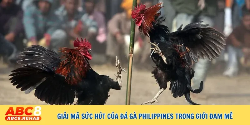 giai ma suc hut cua da ga philippines trong gioi dam me