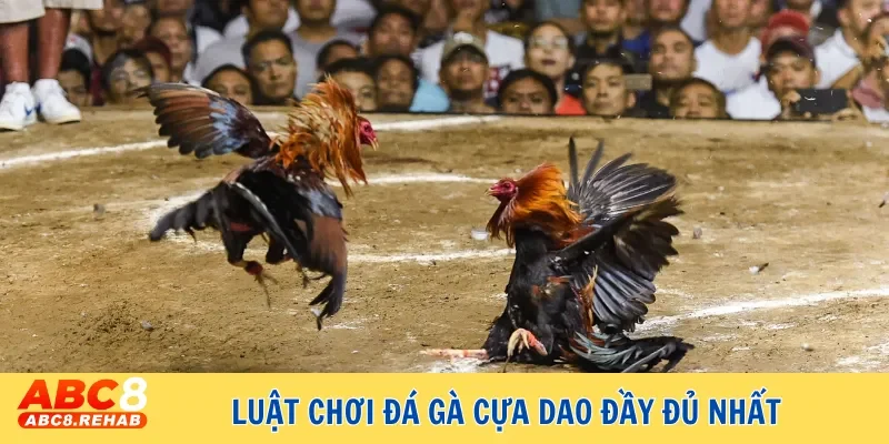 Hướng dẫn cá cược đá gà cựa dao an toàn, dễ thắng lớn 3 Luật chơi đá gà cựa dao đầy đủ nhất